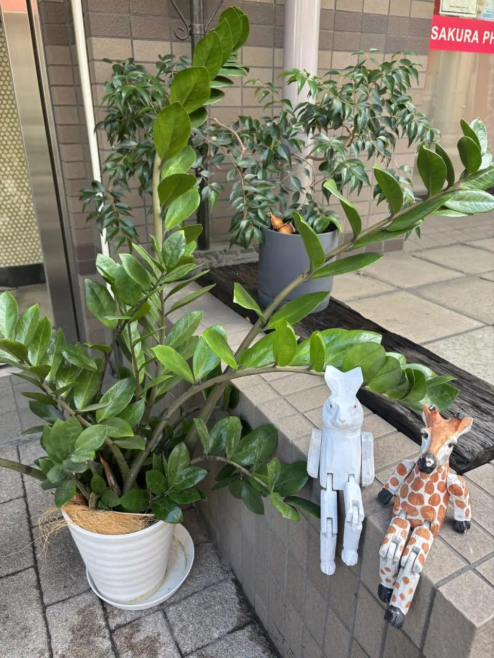Ilo 店内の小物